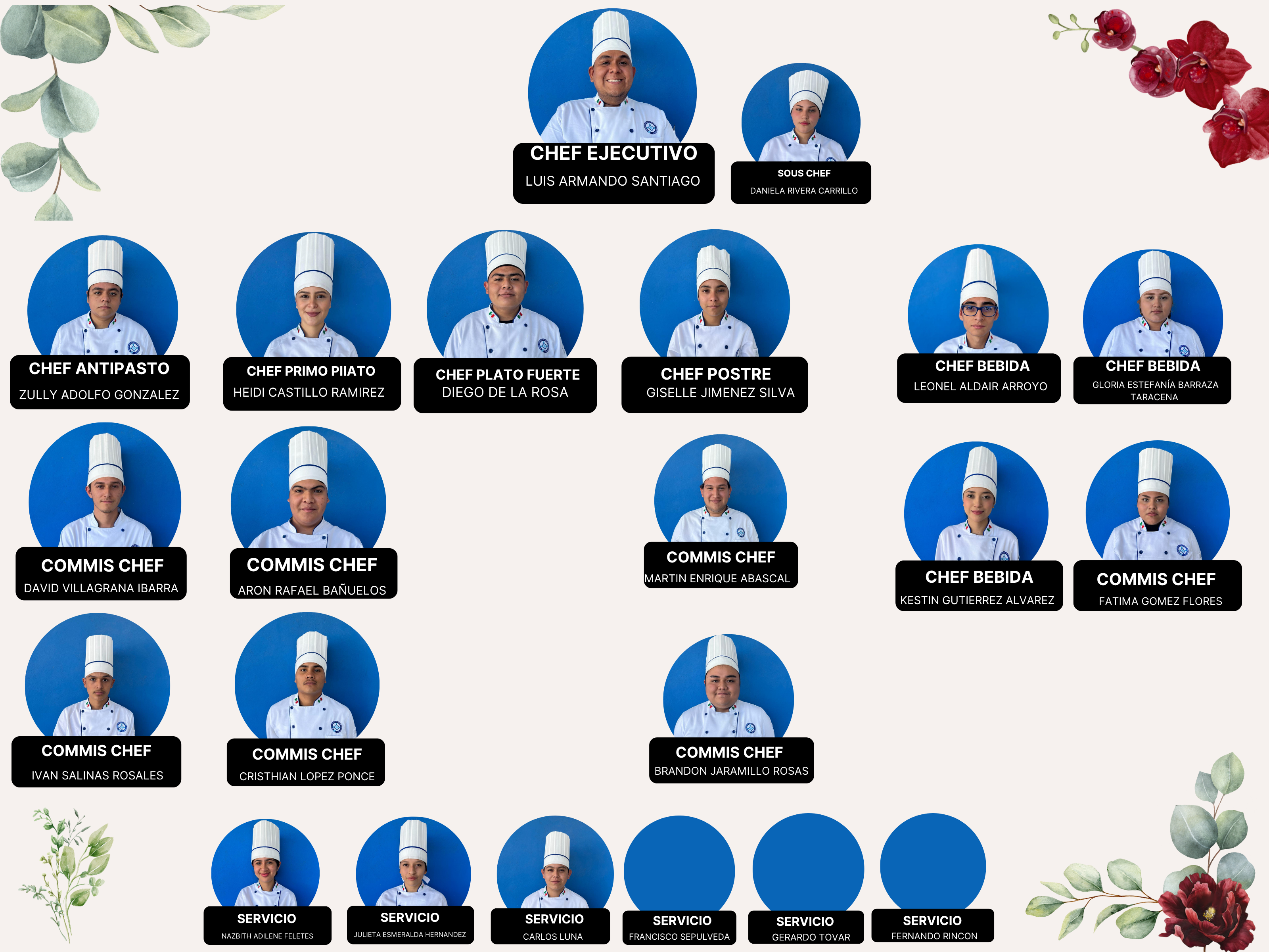 Organigrama Operativo del Grupo D5